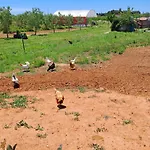Ecovilla Con Piscina Privata - Apulia فيلة *