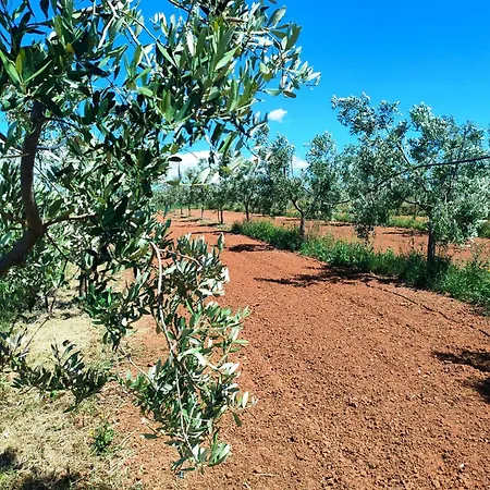 Ecovilla Con Piscina Privata - Apulia Alezio