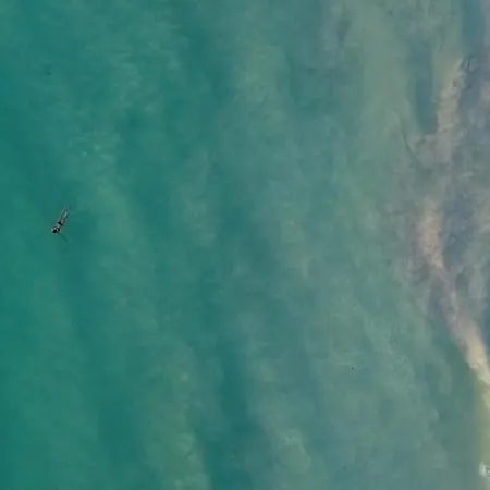 Ecovilla Con Piscina Privata - Apulia 别墅 *