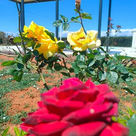 Ecovilla Con Piscina Privata - Apulia 别墅