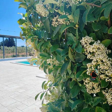 别墅 Ecovilla Con Piscina Privata - Apulia *