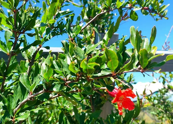 Ecovilla Con Piscina Privata - Apulia * Alezio