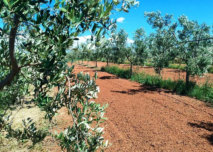 Ecovilla Con Piscina Privata - Apulia Alezio